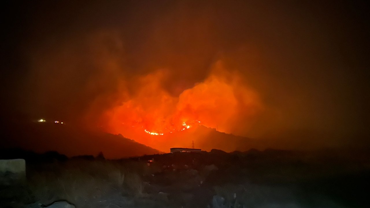 Marmara Adası'nda makilik yangını