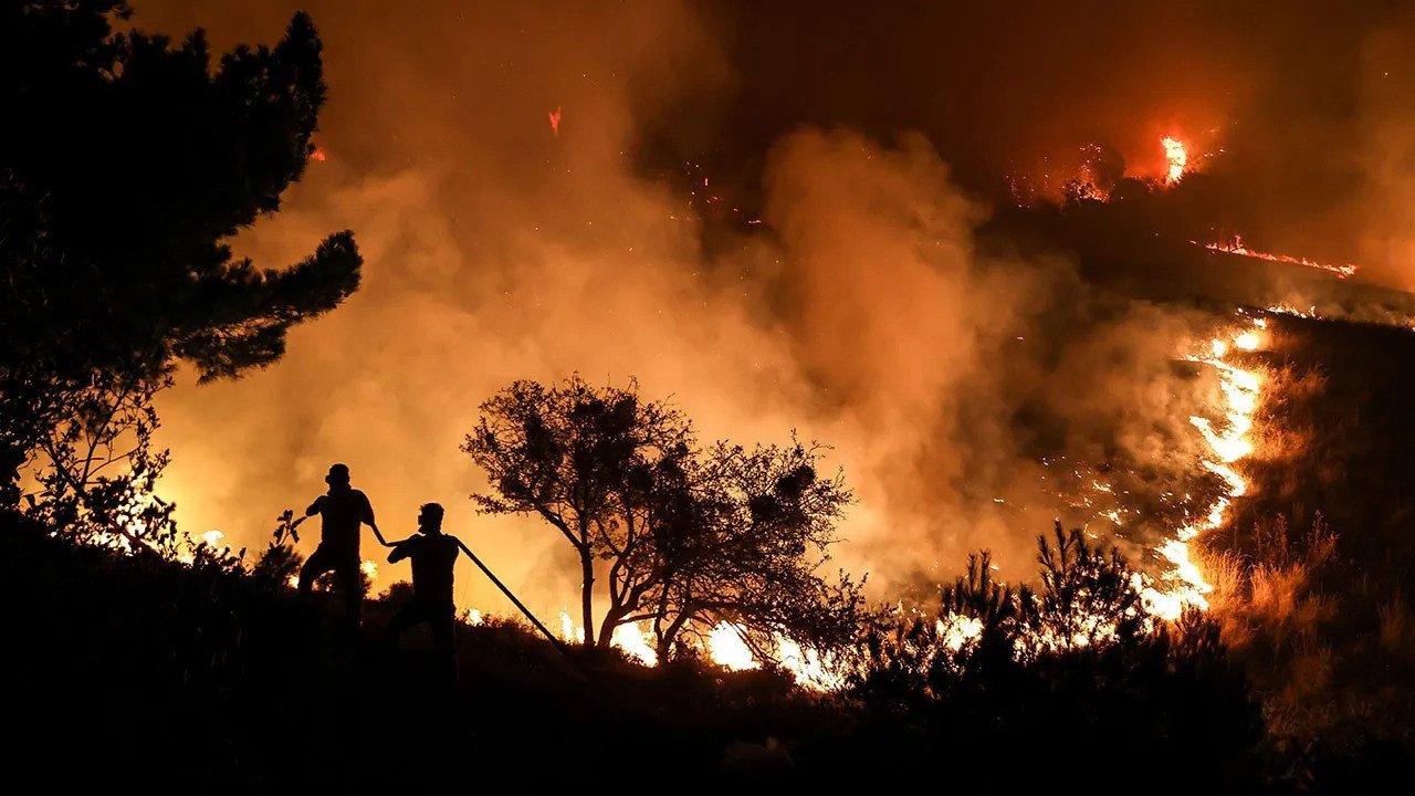 Demet Akalın: Ağaçlar lazerle yakılıyor