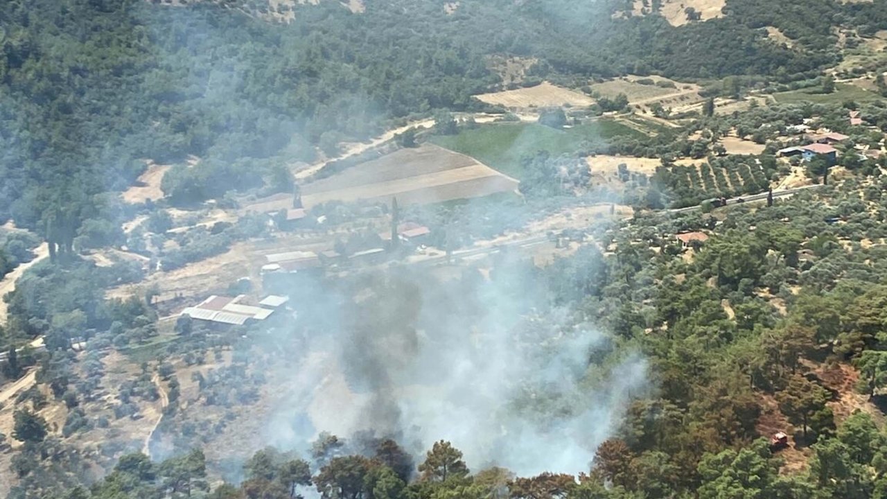 İzmir'de orman yangını: 1 saatte kontrol altına alındı