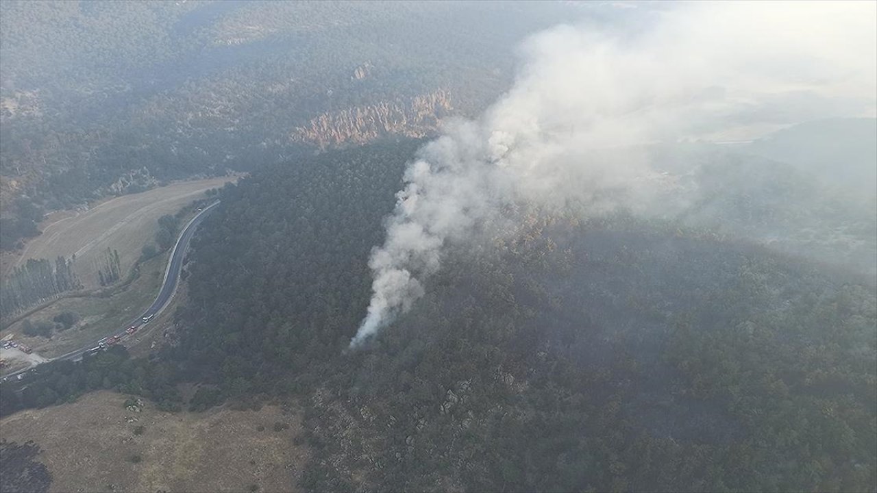 Eskişehir'de orman yangını: Müdahaleye yeniden başlandı