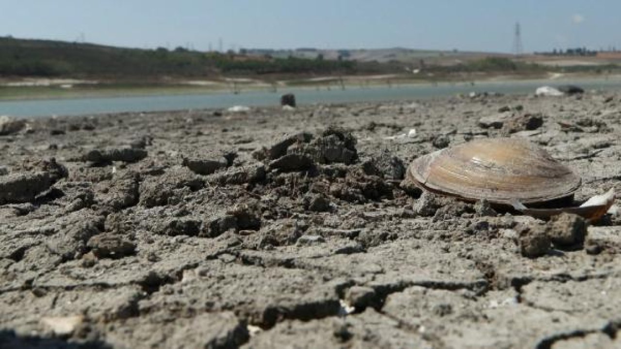 İstanbul'a içme suyu sağlayan baraj kurudu: Pikniğe gelenlerin aracı bataklığa saplandı