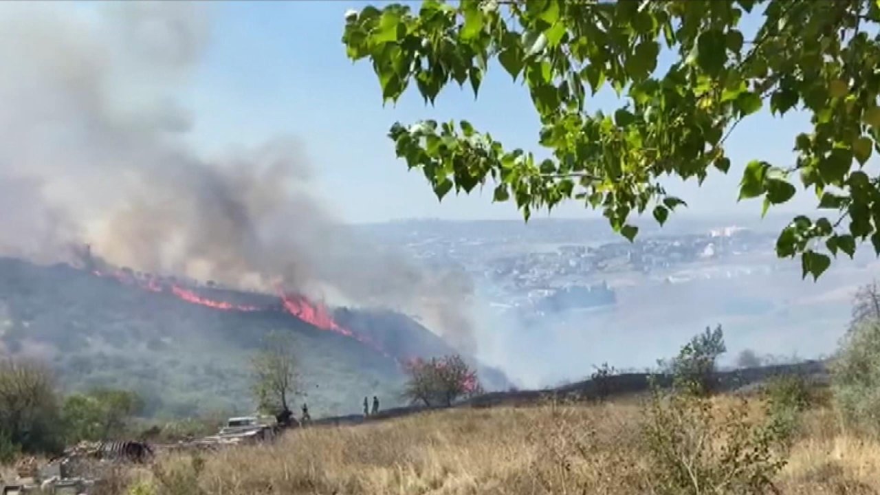 İstanbul'da orman yangını