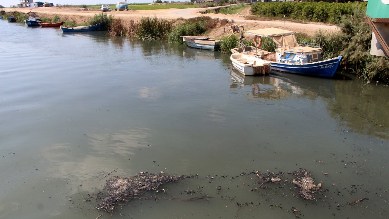 Seyhan'ın Akdeniz'e döküldüğü noktada alarm: 'Acil önlem alınmalı'