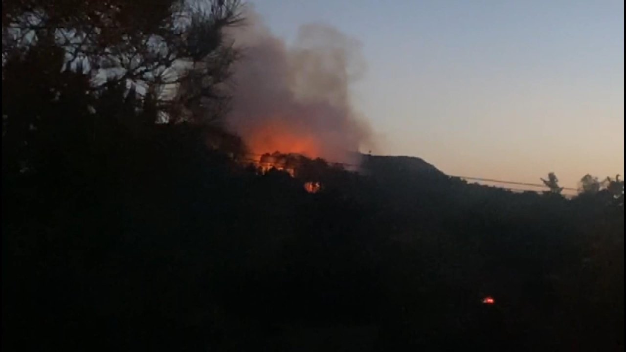 Maltepe'deki orman yangını söndürüldü
