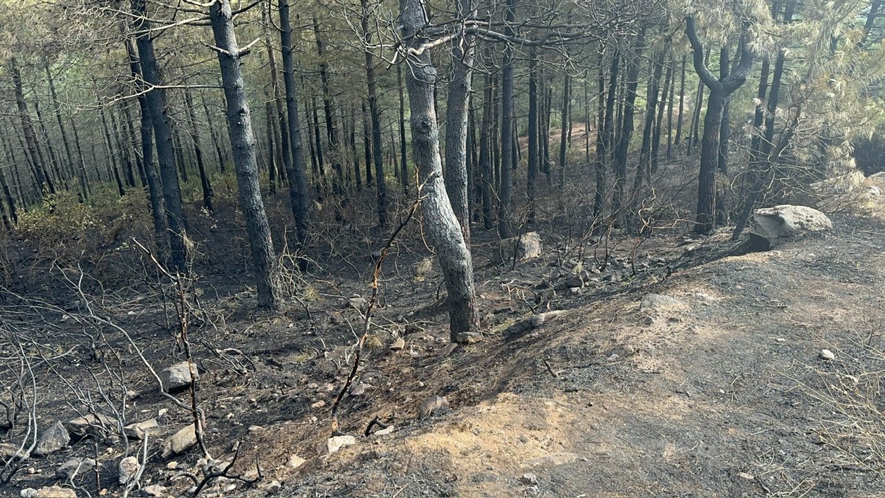 Orman yangınında 3 hektarlık alan zarar gördü
