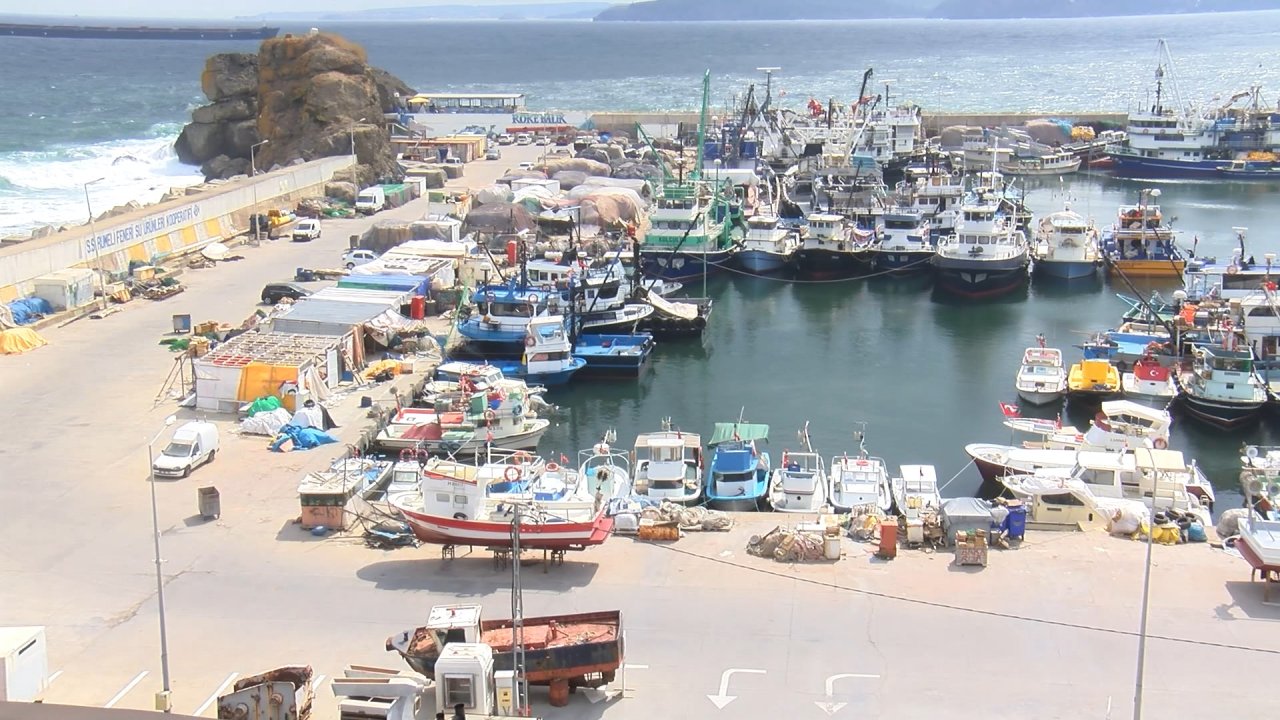 Balıkçılar 1 Eylül'e hazırlanıyor: Hamsi bol, palamut gözükmüyor