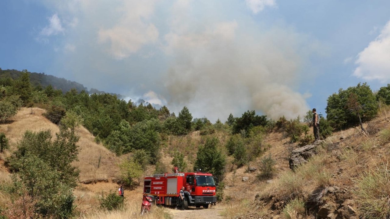 Çankırı'da orman yangını: Havadan ve karadan müdahale ediliyor