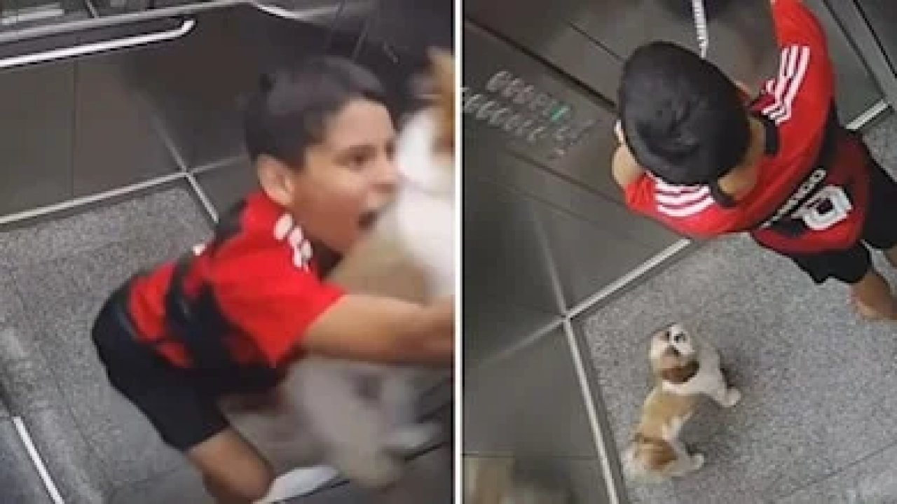 11 yaşındaki çocuk son anda köpeğini kurtardı