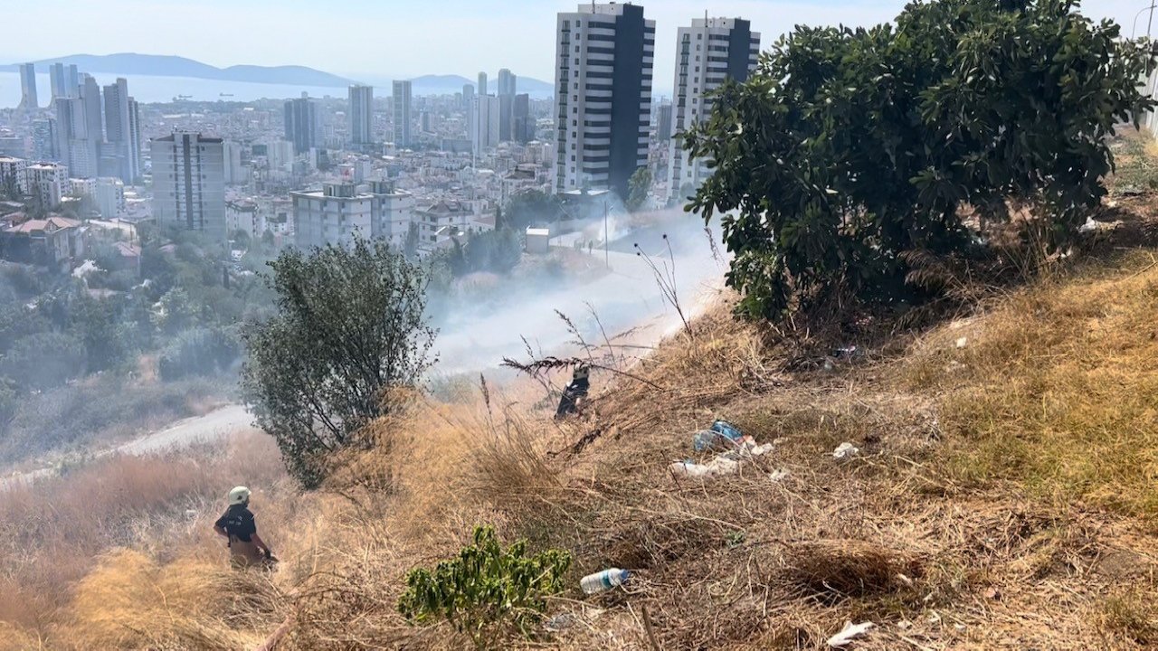 İstanbul'da otluk alanda yangın