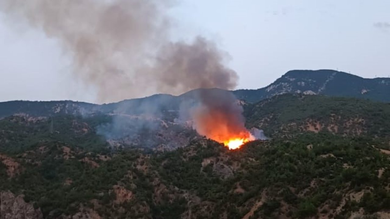 Çorum’da orman yangını: Müdahale sürüyor