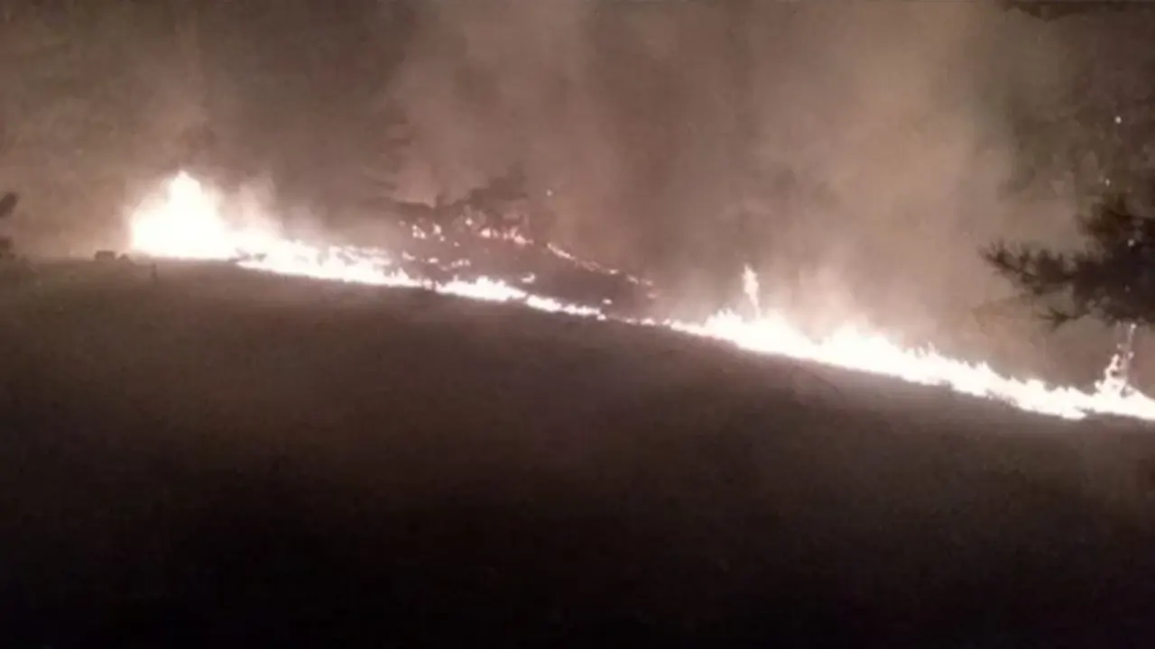 Köyceğiz'de orman yangını: Müdahale ediliyor