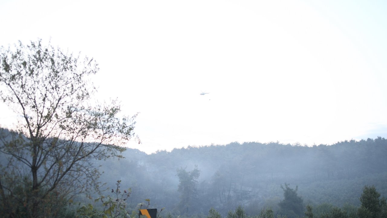 Bursa'daki orman yangını kontrol altında