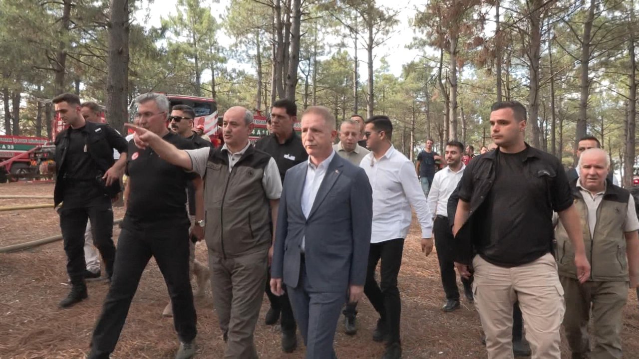 Vali Gül'den orman yangınında "sabotaj" iddialarına açıklama