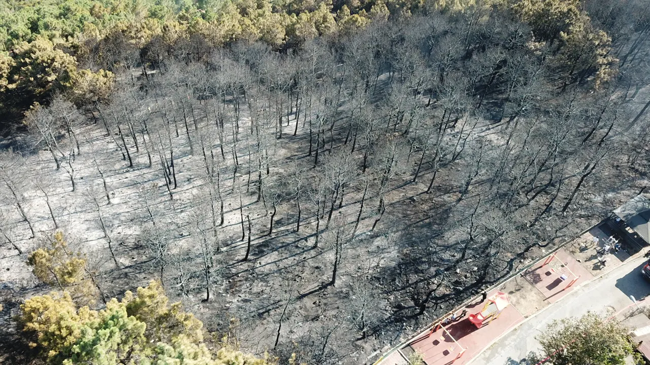 Maltepe'deki orman yangını söndürüldü: Biri yabancı uyruklu 2 şüpheli gözaltında