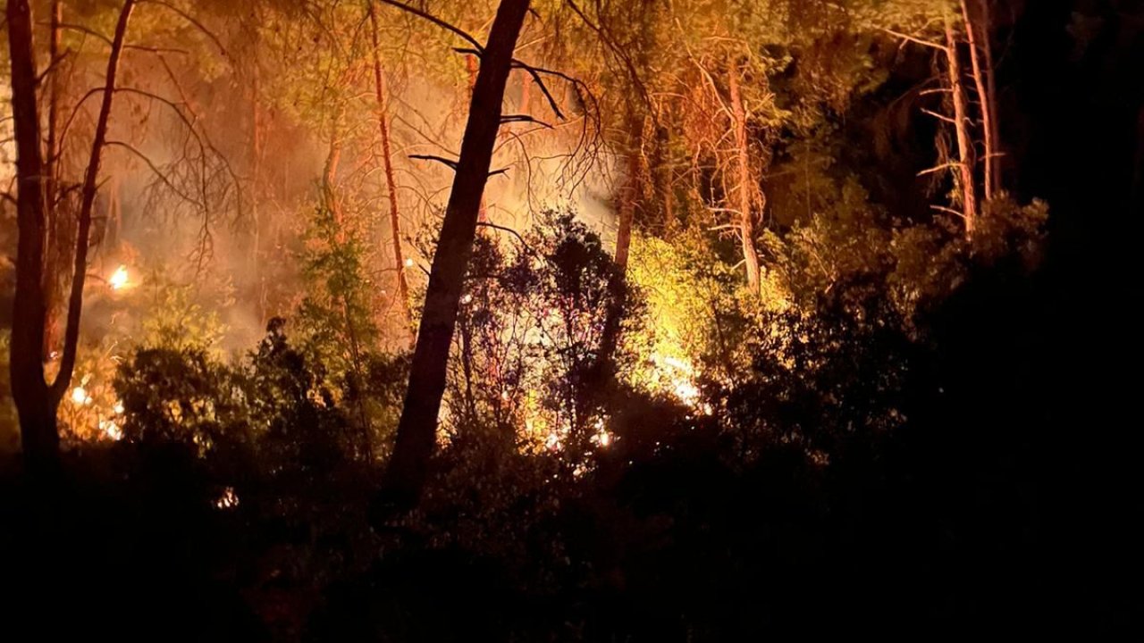 İmamoğlu'nda 3 gün arayla 2'nci orman yangını