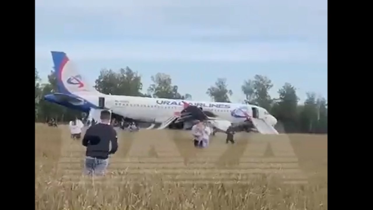 Havada büyük panik! Yolcu uçağı tarlaya acil iniş yaptı!