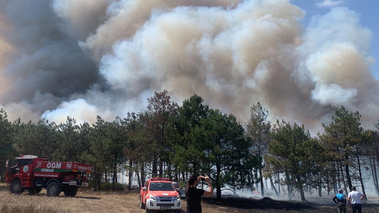 Çerkezköy'de orman yangını: Alevlere müdahale ediliyor