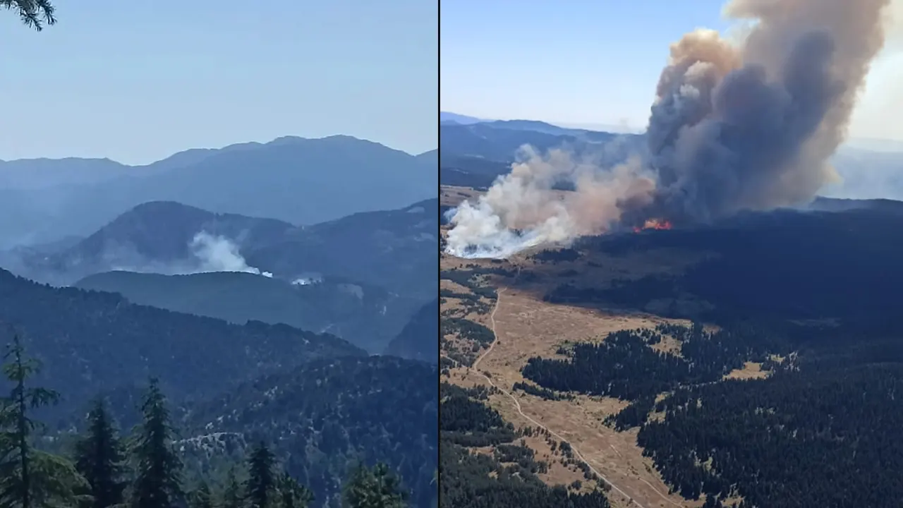 4 ilde orman yangını: Havadan ve karadan müdahale ediliyor
