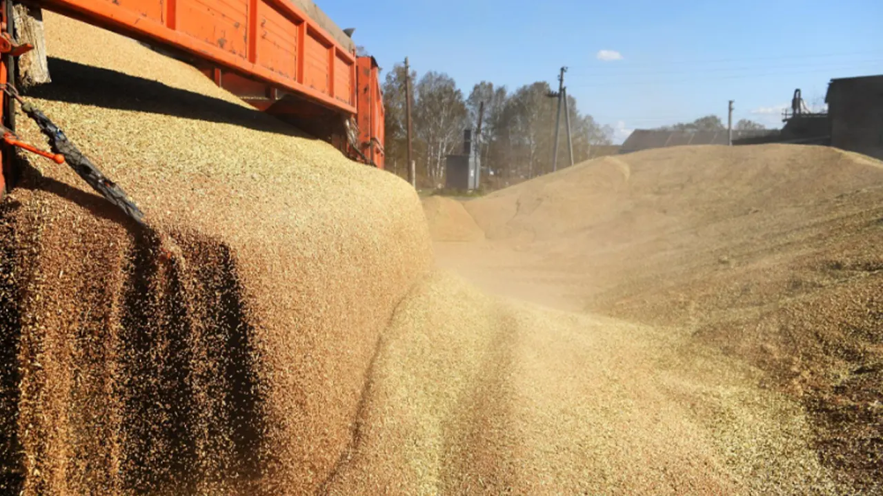3 ülke Ukrayna tahıl ihracatı yasağını uzatma kararı aldı