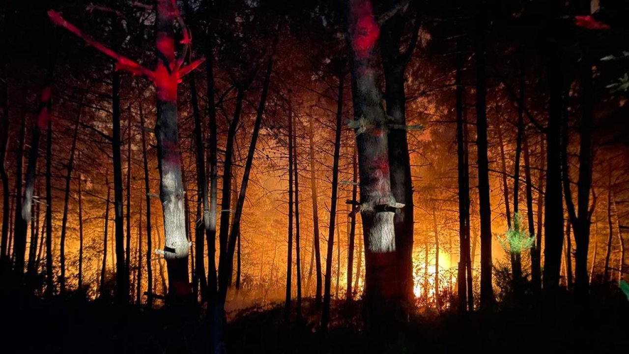 Kentte korkutan orman yangını!