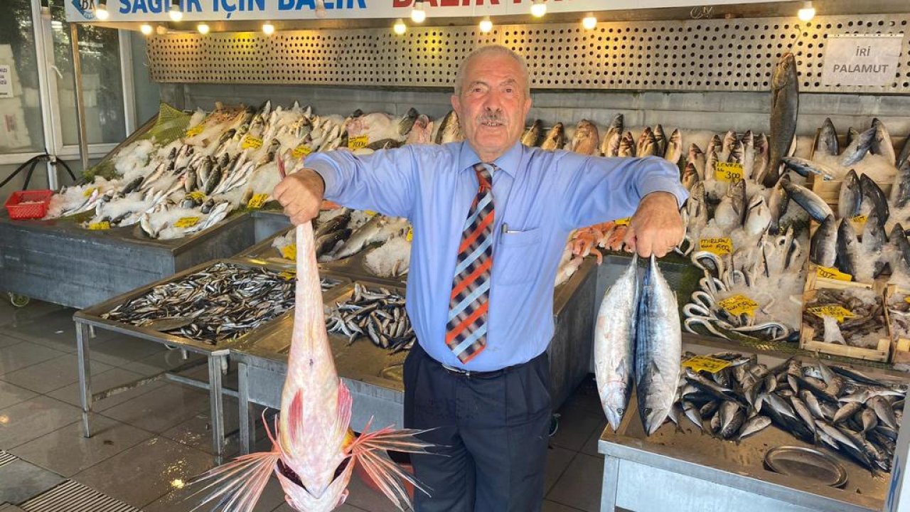 Balıkçılardan Cumhurbaşkanı Erdoğan’a çağrı
