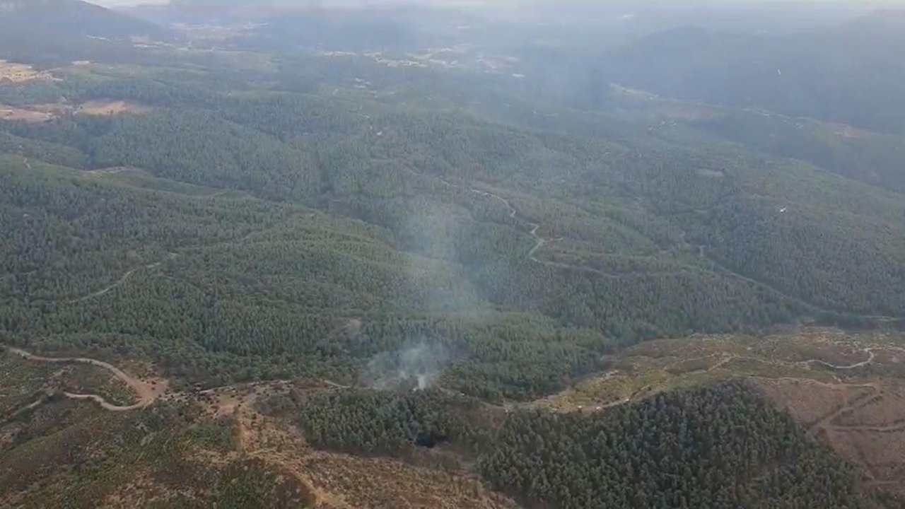 Manisa'da orman yangını: Alevlere müdahale sürüyor