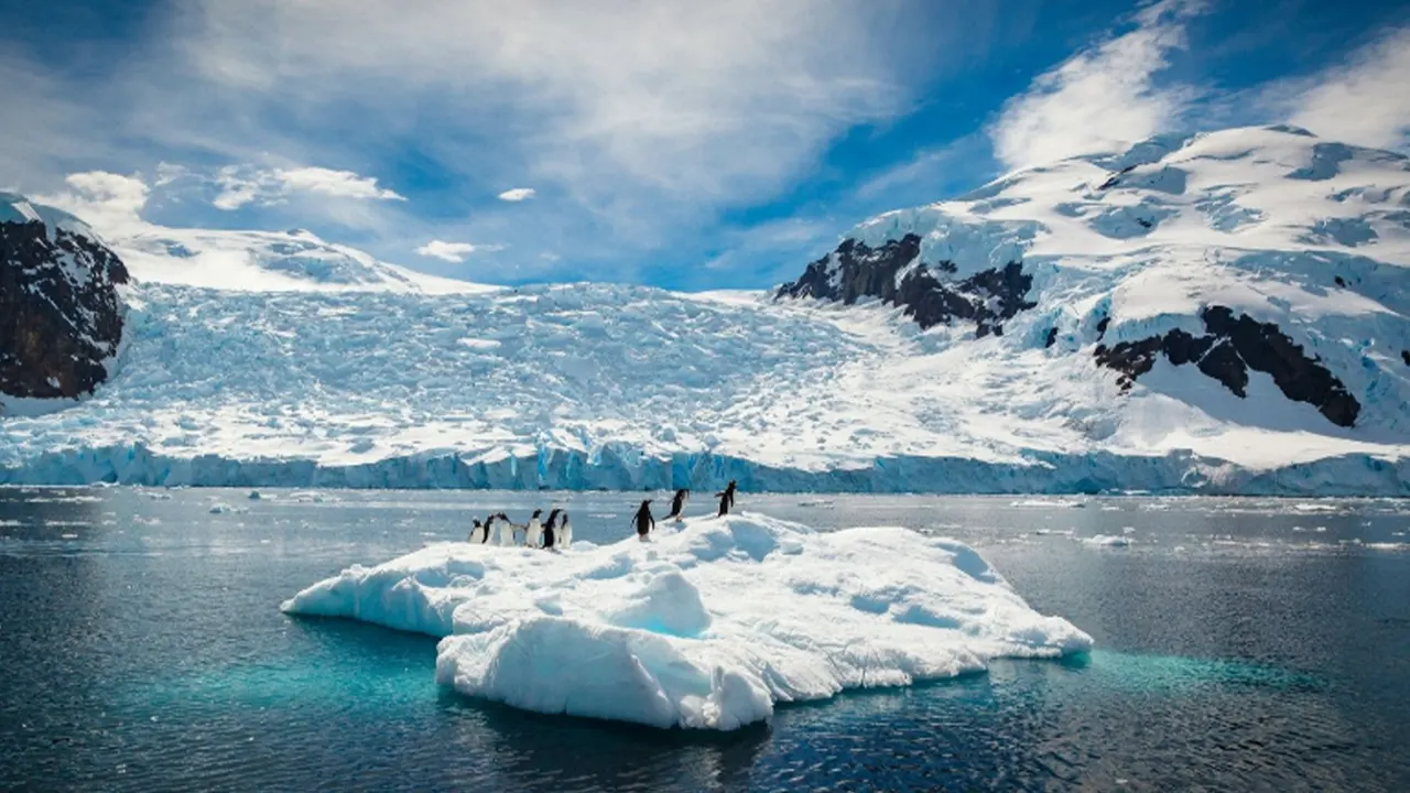 Antarktika'da şort giydiren sıcaklık dalgası: Asıl sebebi iklim değişikliği değilmiş
