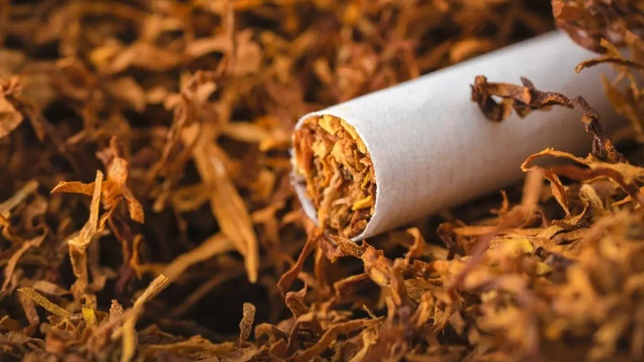 Resmi Gazete'de yayımlandı: Tütün ürünlerine gramaj sınırlaması