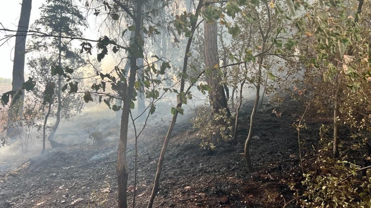 Adana'da iki ayrı yerde orman yangını