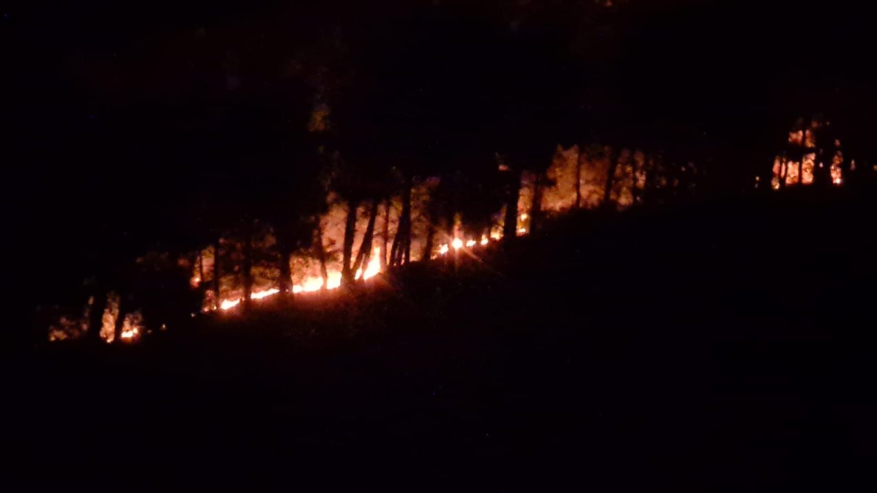 Adana'da orman yangını: Ekiplerin çalışması sürüyor