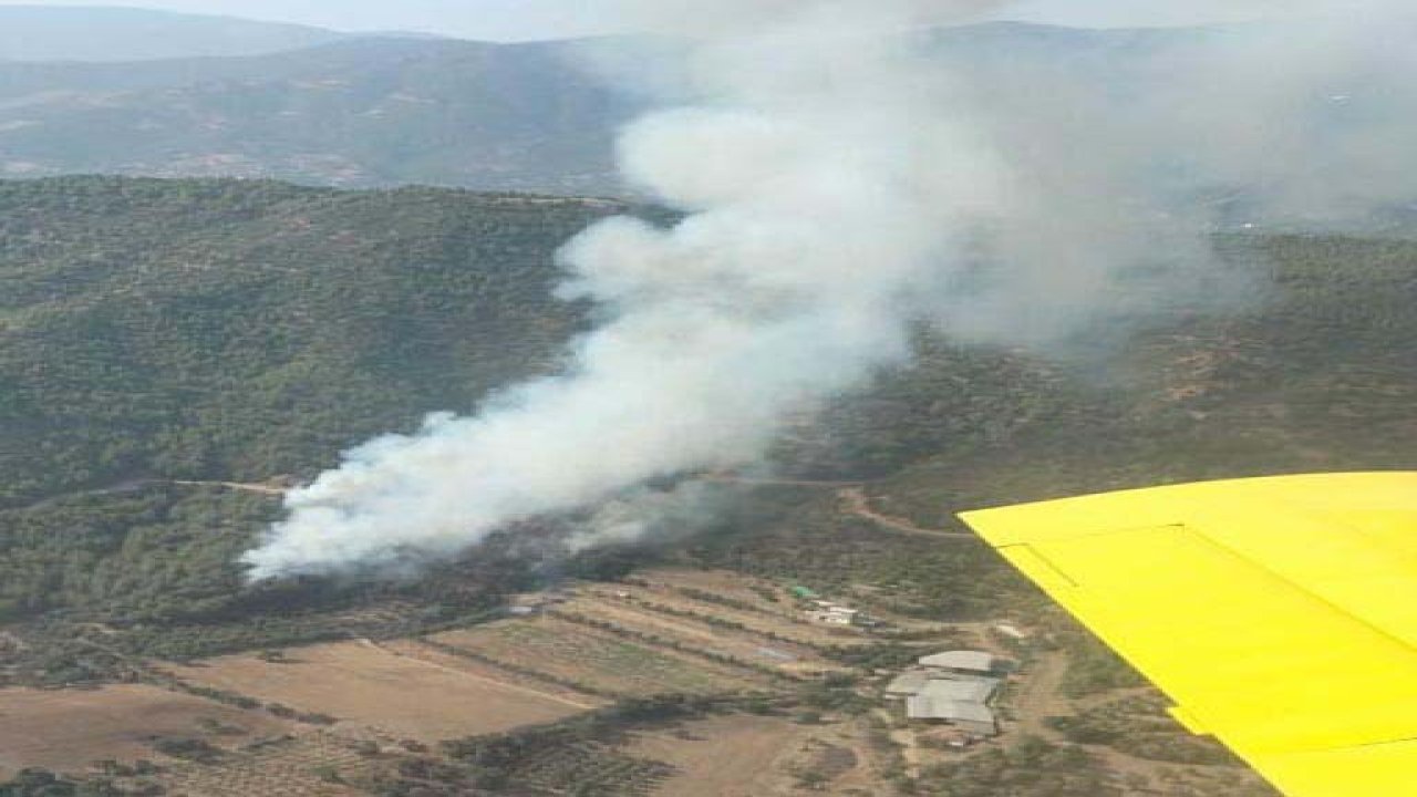Orman yangınları başladı: Ekipler havadan ve karadan müdahale etmeye çalışıyor