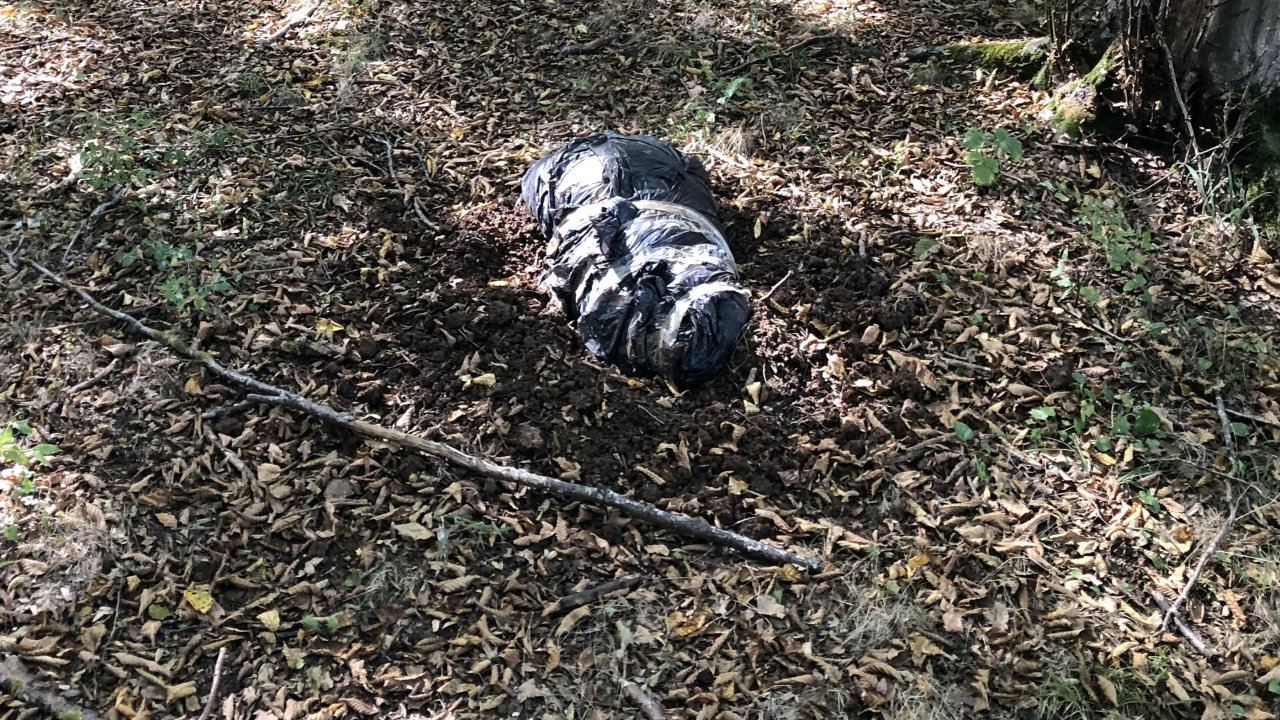 Koli bantlarıyla bağlanmış poşette ölü köpek bulundu