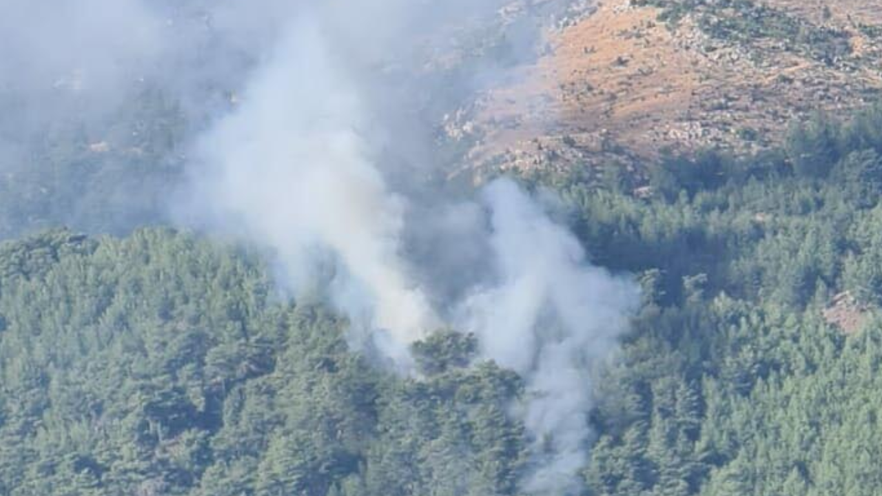 Muğla'da orman yangını: 1 hektarlık alan zarar gördü