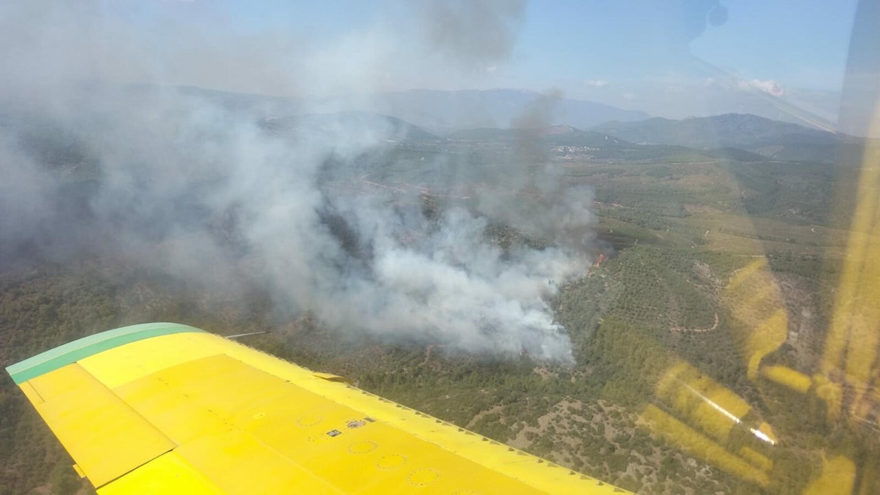 İzmir'de orman yangını: Karadan ve havadan müdahale ediliyor