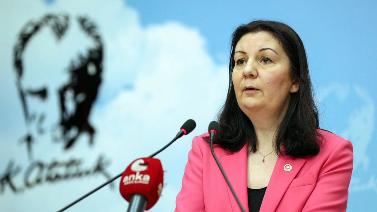 CHP'li Karabıyık: Bu katliamı sadece kınamayla kalmamak önemlidir