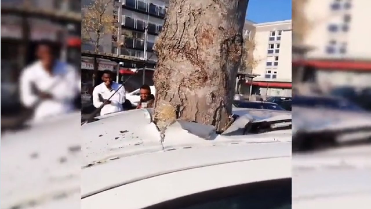 Görenler inanamadı! Arabanın tam ortasına giren ağaç şok etti…