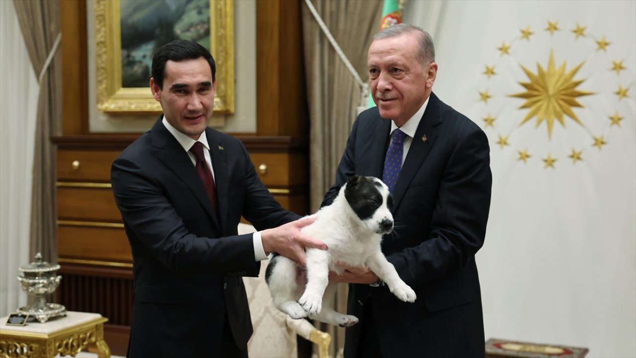 Cumhurbaşkanı Erdoğan ve Berdimuhamedov birbirlerine köpek hediye etti
