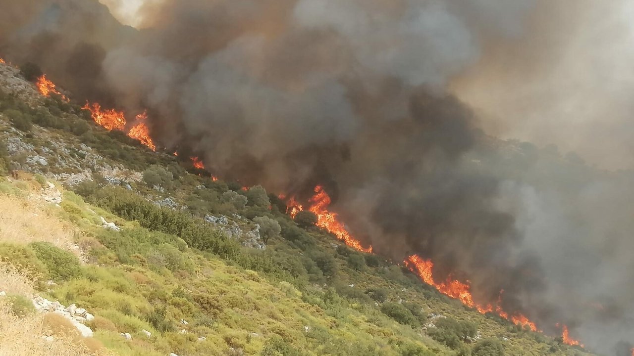 Muğla'da orman yangını: Havadan ve karadan müdahale ediliyor