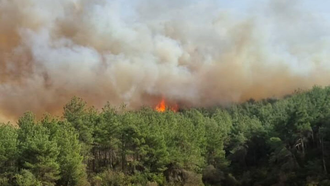 İki ilde orman yangını: Havadan ve karadan müdahale ediliyor