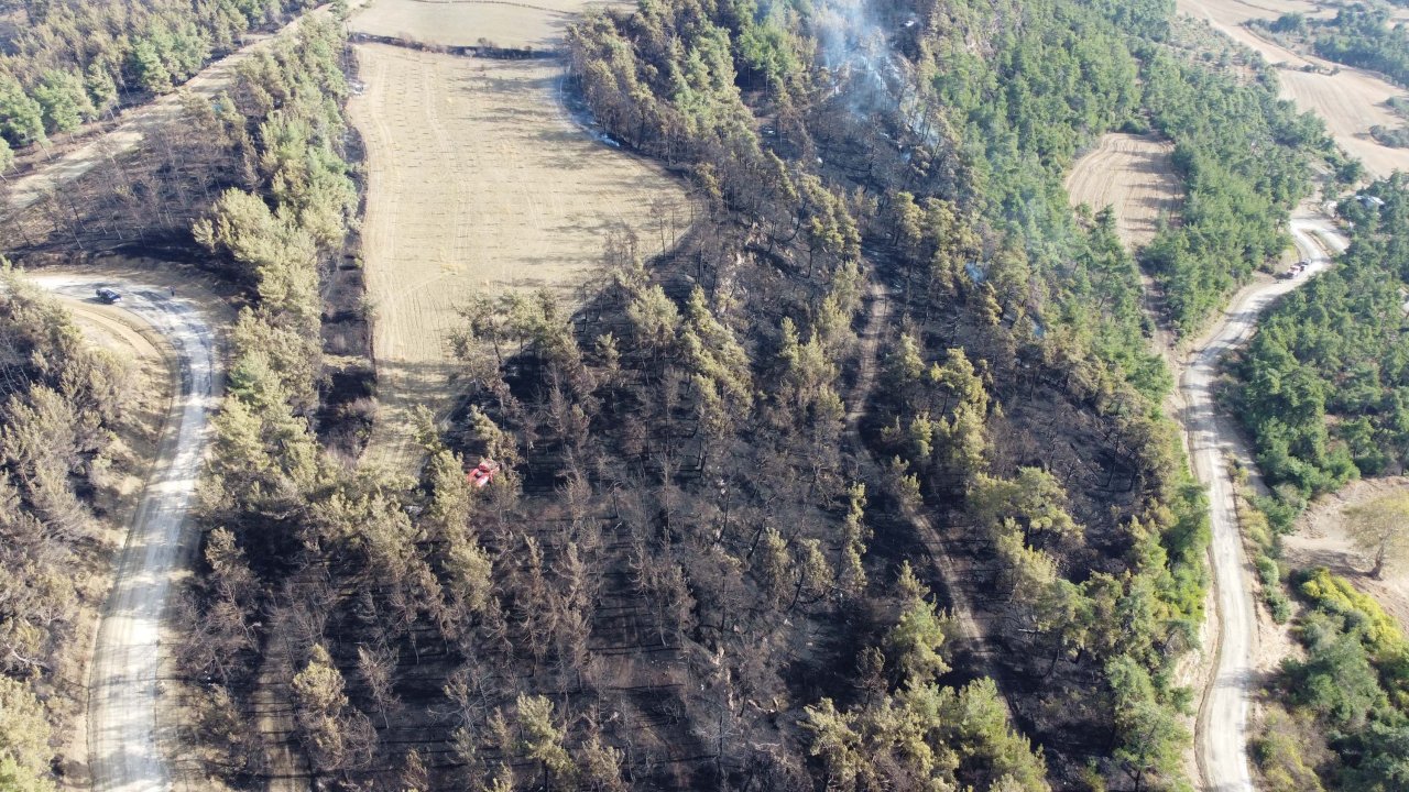 Çanakkale'deki orman yangınında soğutma çalışmaları devam ediyor