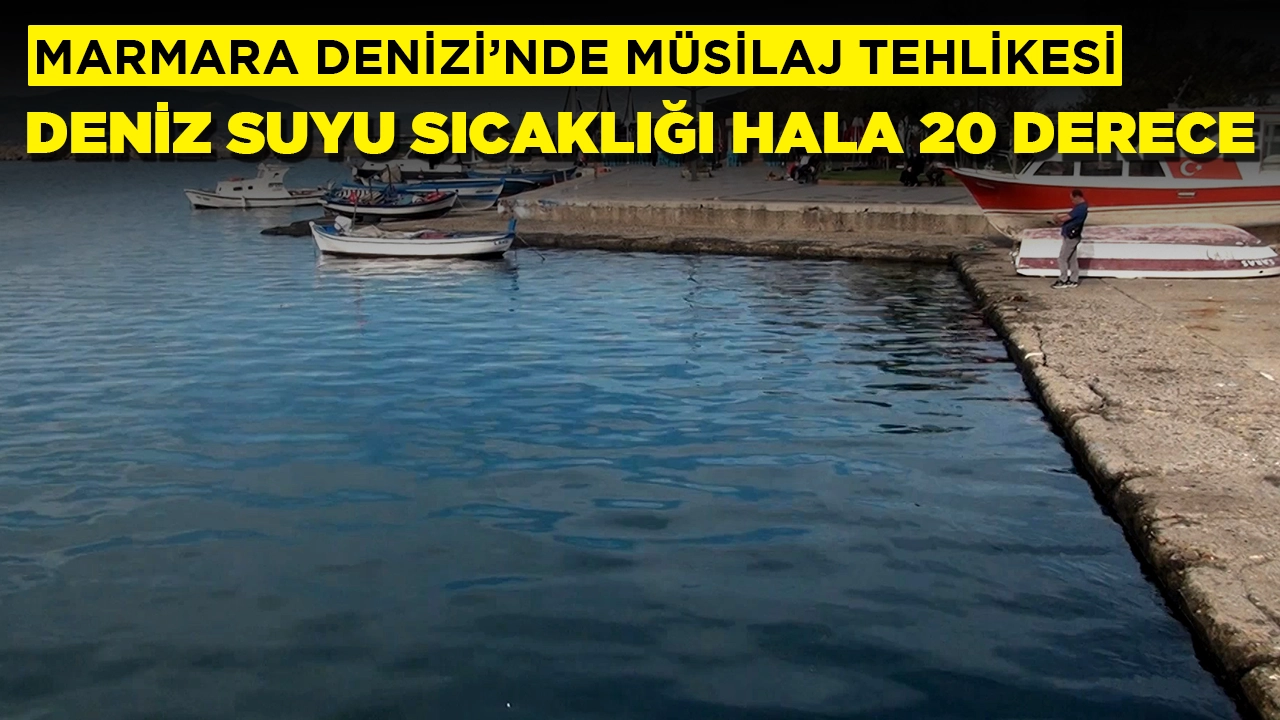 Marmara Denizi'nde müsilaj tehlikesi: Deniz suyu sıcaklığı endişe verici boyutta