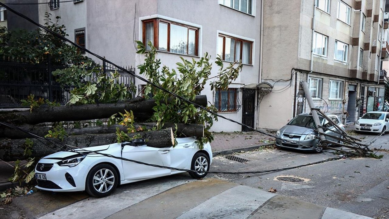 Lodos etkisini artırdı! Ağaç ve elektrik direği devrildi: 2 otomobilde hasar