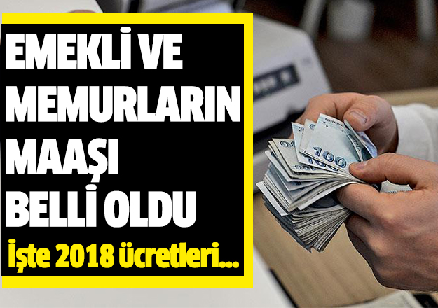 Memur ve emekli maaşları belli oldu! 2018 yılında kaç lira maaş alınacak