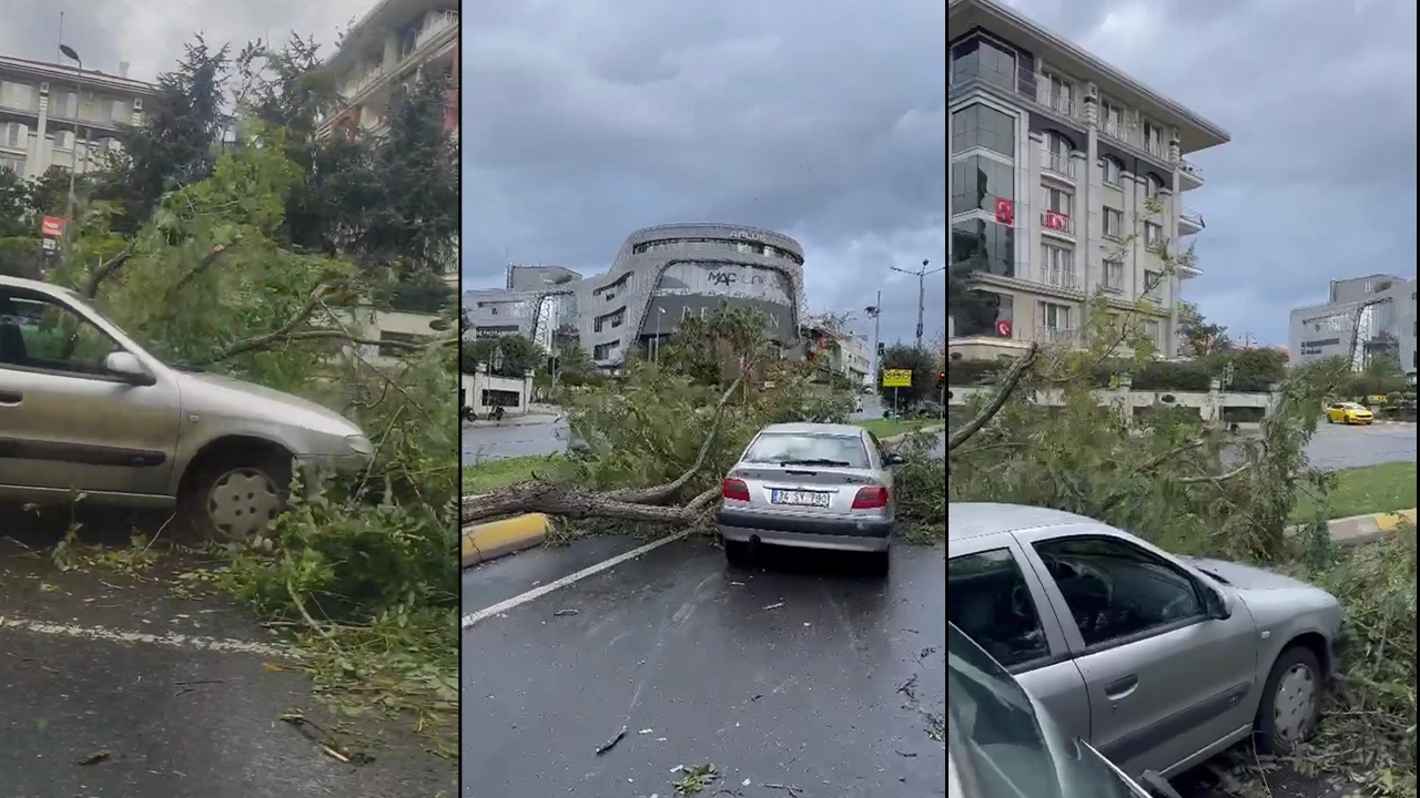 İstanbul'u fırtına vurdu: Ağaç otomobil üzerine devrildi, caddede trafik oluştu