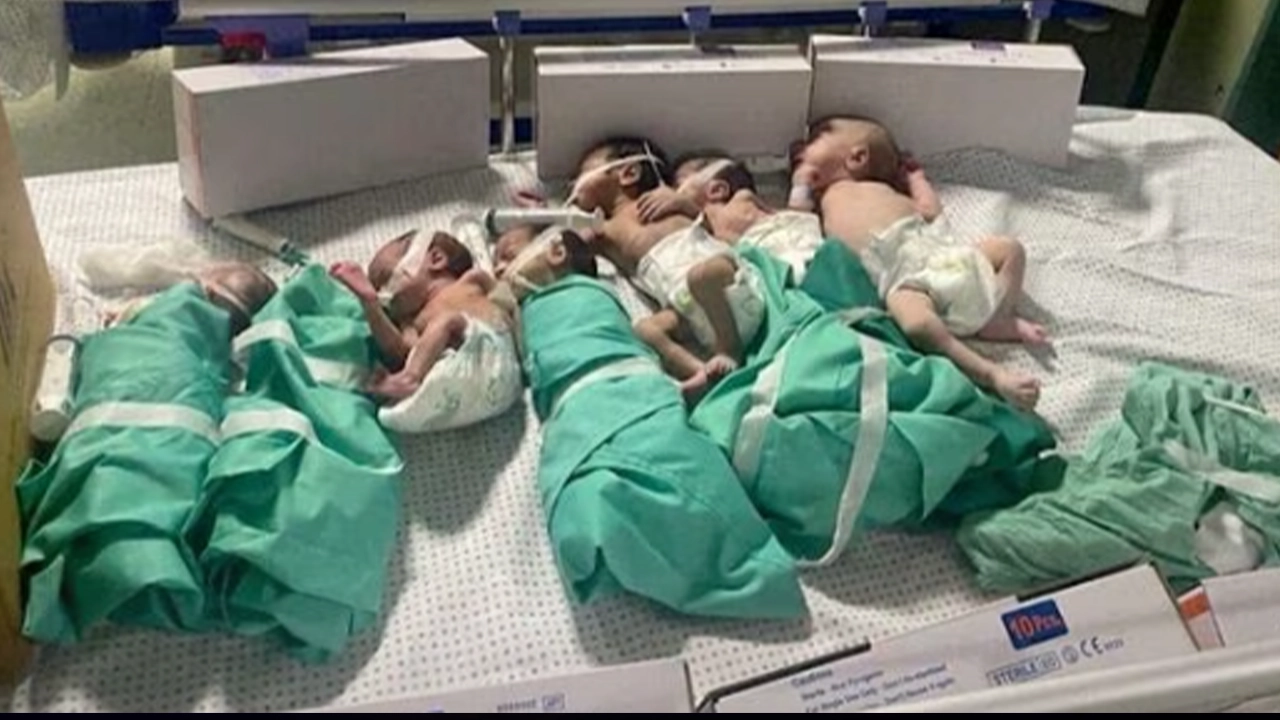 Gazze’de sağlık sistemi çöktü! Şifa Hastanesi'nde 2 bebek öldü: Durum vahim ve tehlikeli