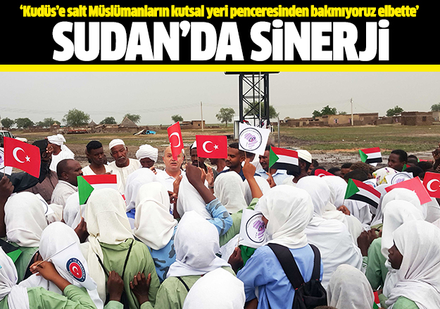 Sudan'da sinerji