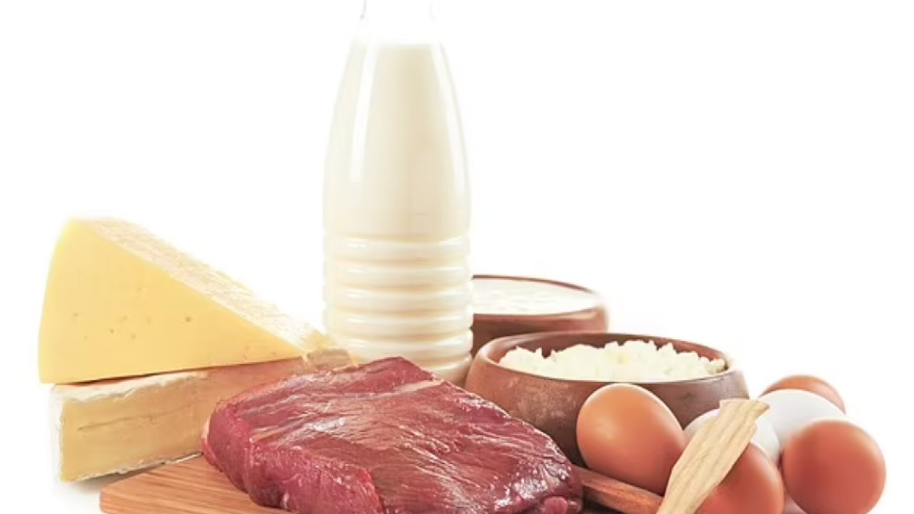 Veganlığa darbe mi? Sığır eti ve süt ürünlerinde bulunan besin kanserle savaşmaya yardımcı olabilir
