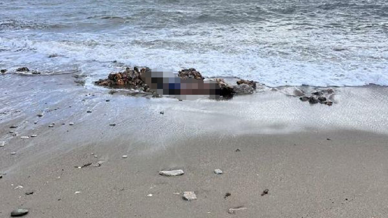 Denizde ve sahilde 2 erkek cesedi bulundu