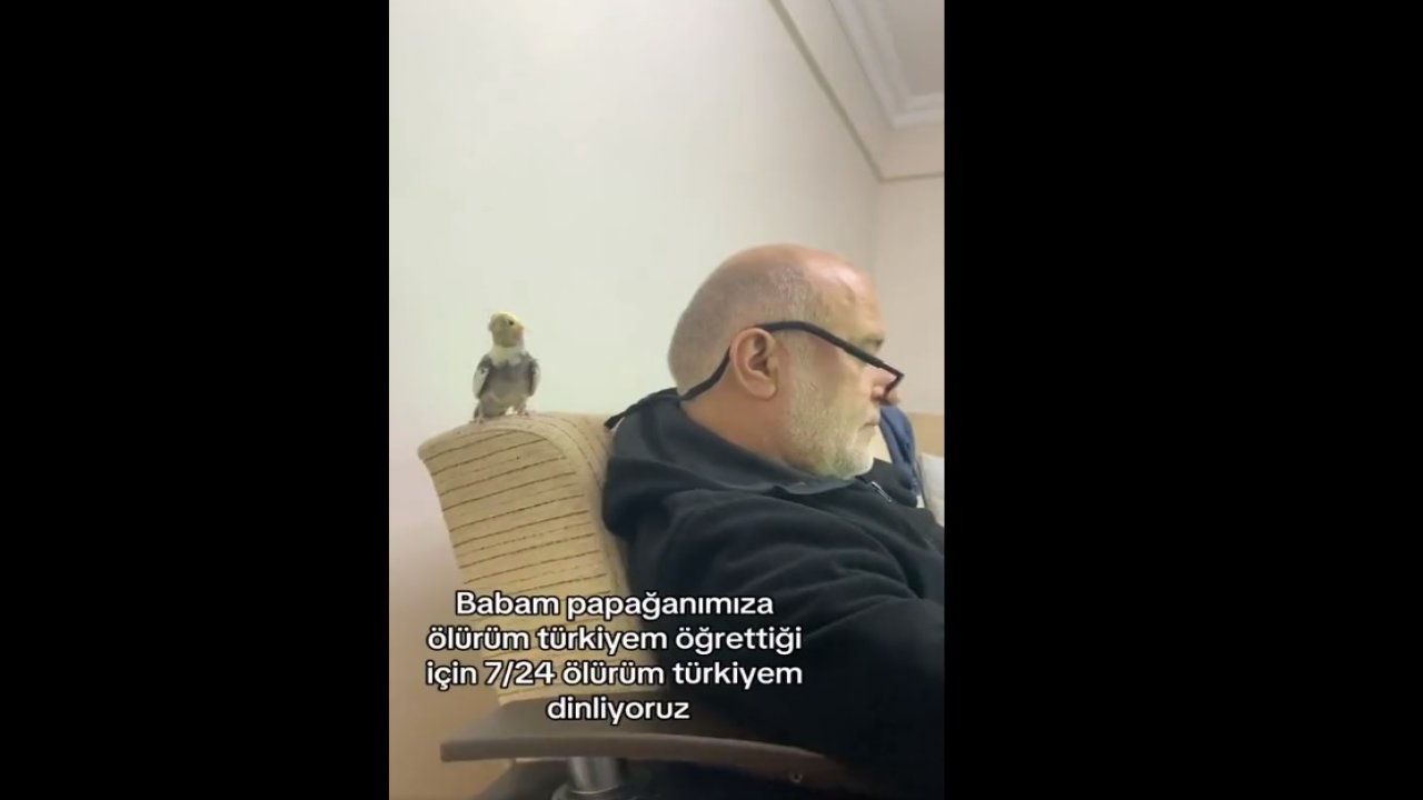 Papağan'ın "Ölürüm Türkiyem" şarkısı milyonların gülümsetti