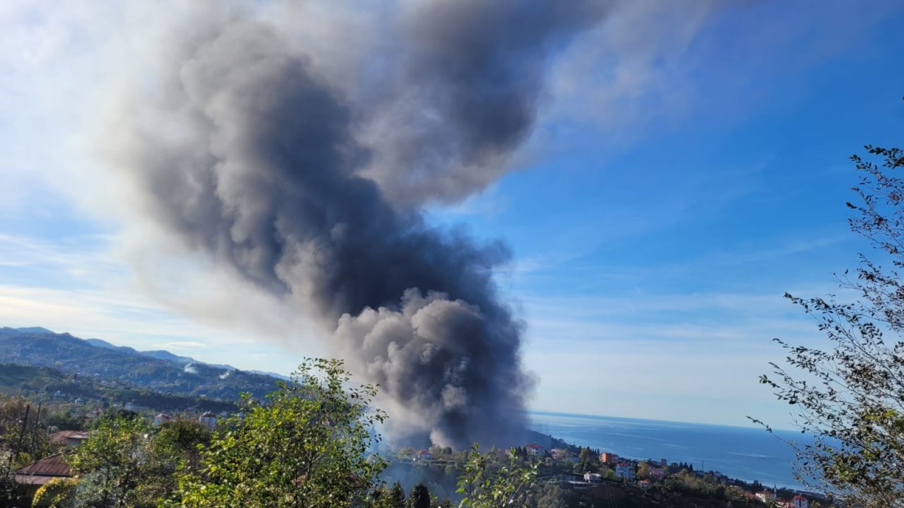 Balık fabrikasında yangın: Dumanlar gökyüzünü kapladı